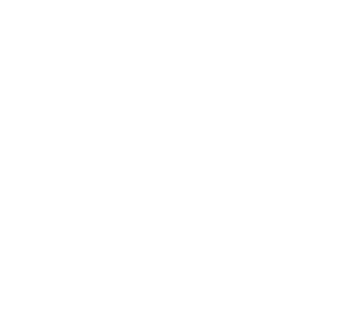 The NET Level Up Networking logo